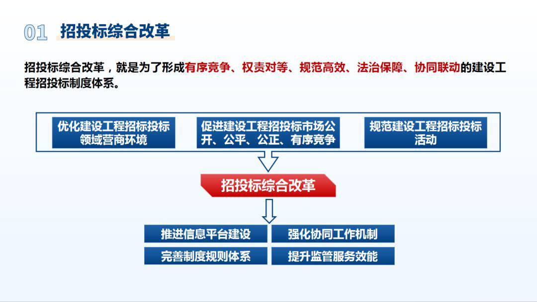 最新招标细则，背景、影响与地位解析