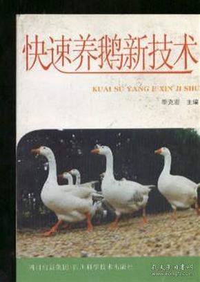 最新养鹅技术揭秘与探索，高效养鹅秘诀分享