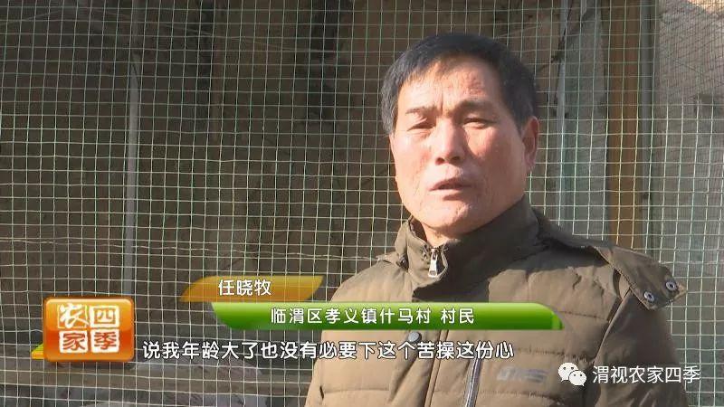 最新养蝎技术揭秘，挖掘未知机遇，自信成就梦想之路