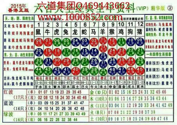 2024十二生肖49码表,实时分析处理_IEV49.342多媒体版