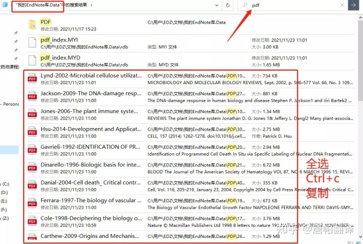 澳彩资料,效率评估方案_GZK49.276外观版