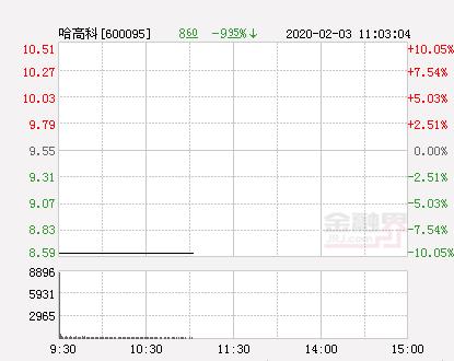 哈高科最新公告，铸就新时代的科技领航者地位