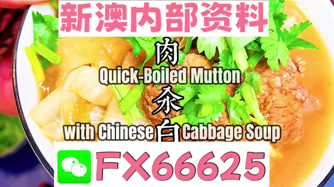 管家婆一码中一肖最准一码,专业数据解释设想_LCO49.932设计师版