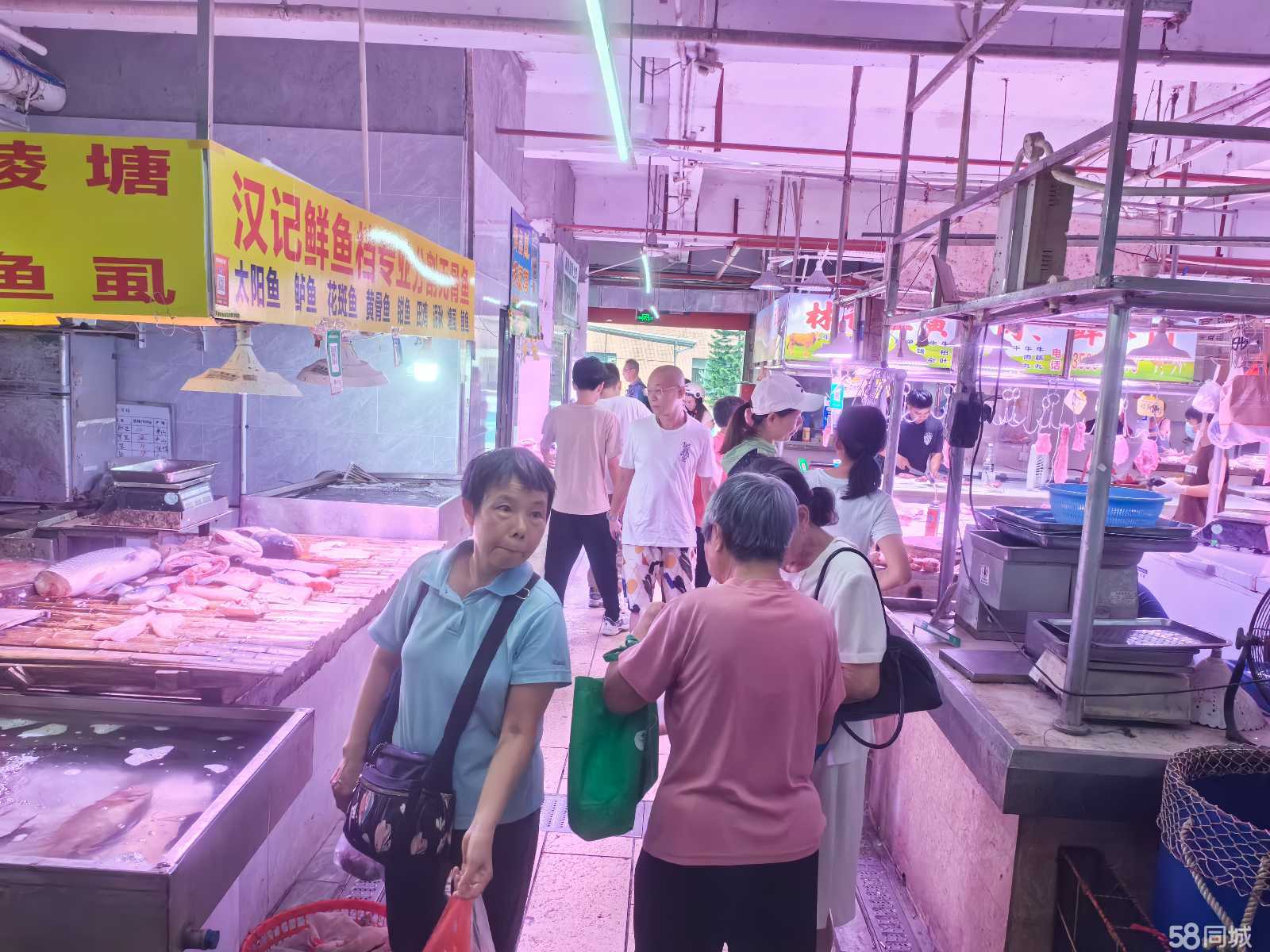 第1376页