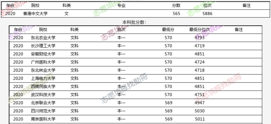 新闻中心 第226页