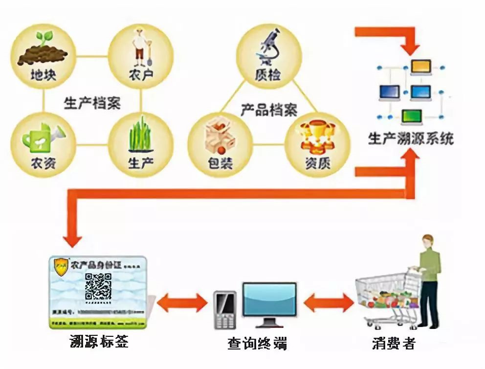 食品溯源最新资讯更新速递