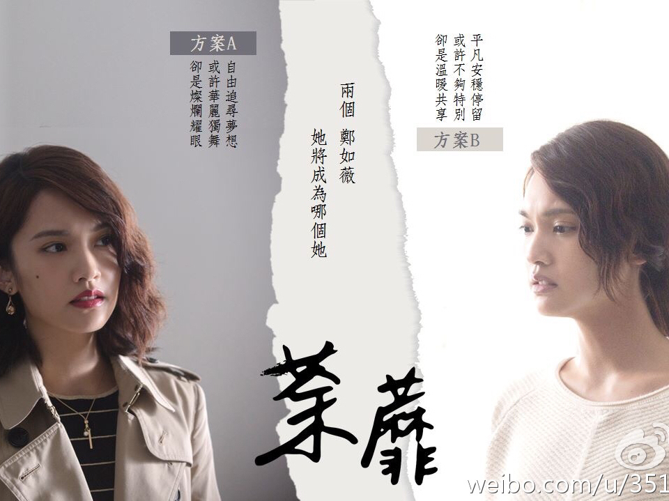 荼蘼电影演员阵容，璀璨星辰的闪耀舞台
