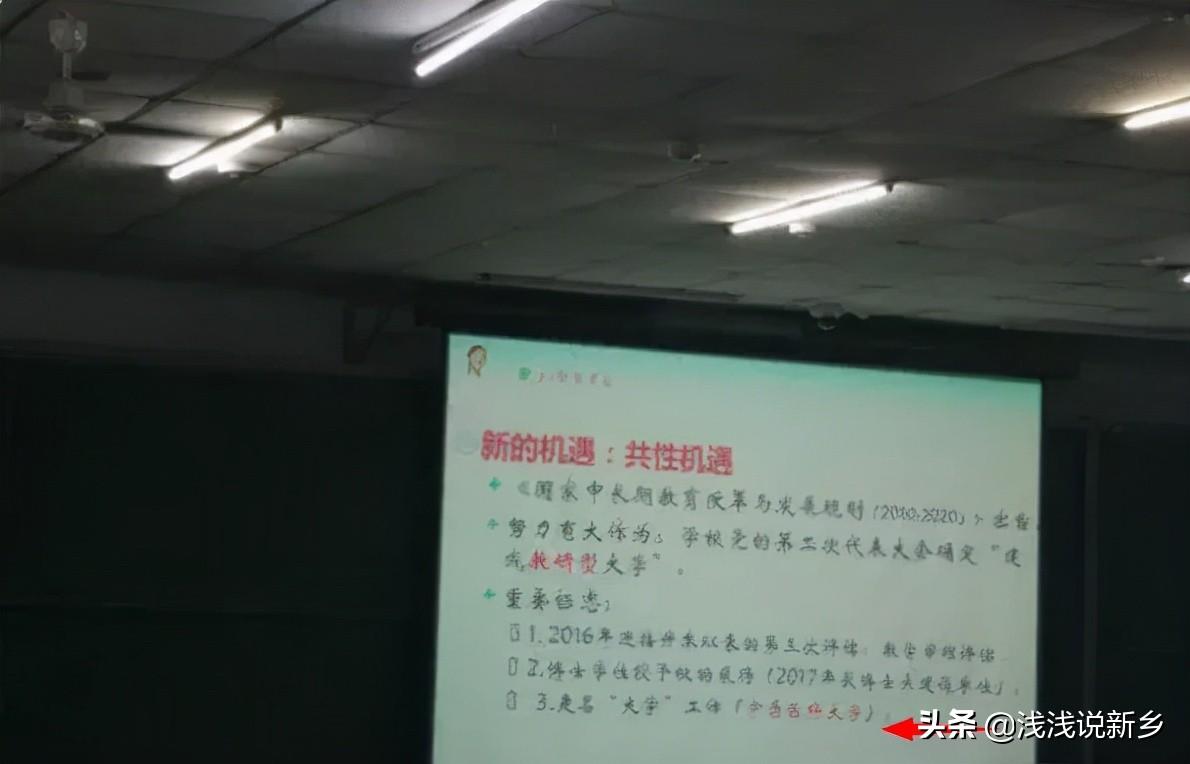 河南最新议程，探秘小巷中的独特风味美食之旅