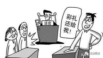 法律离婚最新动态，意料之外的温馨转折时刻